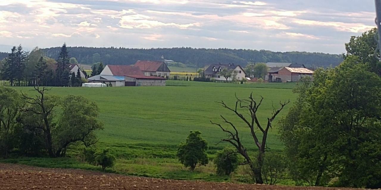 Palac Lucja Bb Zakrzów Exteriör bild
